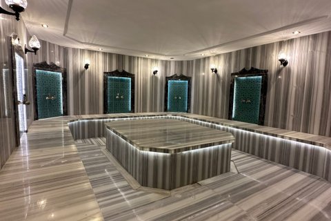 1+1 Leilighet  i Alanya, Antalya, Tyrkia Nr. 222282 - 14