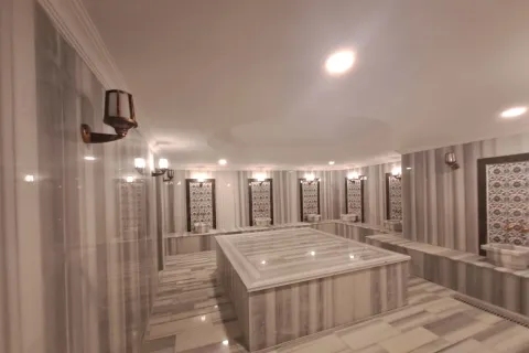 1+1 Lägenhet i Alanya, Antalya, Turkiet Nr. 223734 - 14