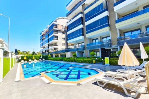 Daire  1+0  Kargıcak, Alanya, Antalya, Türkiye №224948