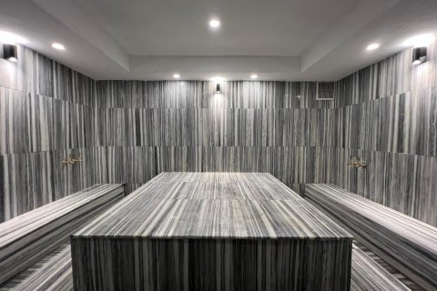 Erhvervsejendom  i Alanya, Antalya, Tyrkiet Nr. 224686 - 21