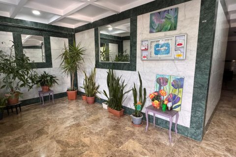Wohnung  in Mahmutlar, Antalya, Türkei Nr. 224689 - 4