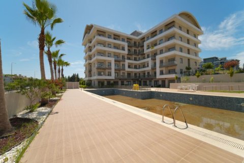 Продажа квартиры  в Авсалларе, Анталье, Турция 2 комн., 38м2, №228100 – фото 19