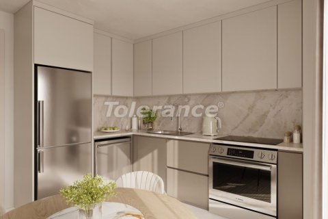آپارتمان در  Istanbul ، ترکیه 1 خوابه ، 62 متر مربع.  شماره 213106 - 8