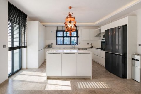 7+1 Villa  i Istanbul, Tyrkia Nr. 225848 - 14