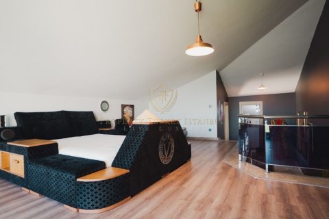 7+1 Villa  i Istanbul, Tyrkia Nr. 225848 - 5