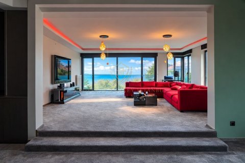 7+1 Villa  i Istanbul, Tyrkia Nr. 225848 - 18