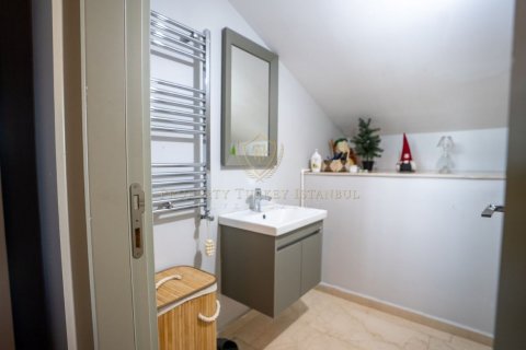 7+1 Villa in Istanbul, Turkey No. 225848
