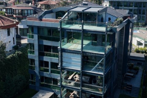 7+1 Villa  i Istanbul, Tyrkia Nr. 225848 - 23
