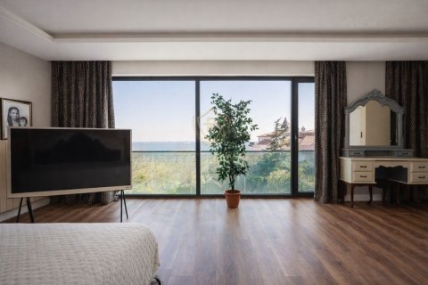 7+1 Villa  i Istanbul, Tyrkia Nr. 225848 - 8