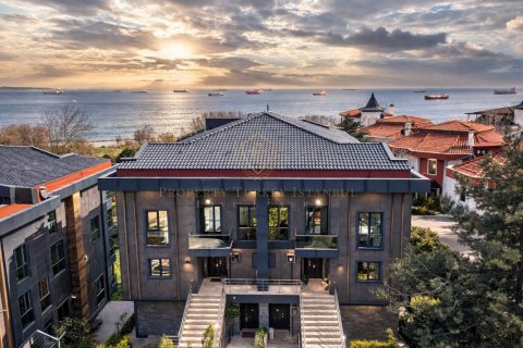 7+1 Villa  i Istanbul, Tyrkia Nr. 225848 - 26