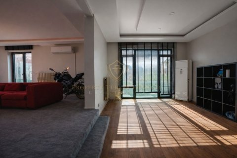 7+1 Villa  i Istanbul, Tyrkia Nr. 225848 - 19