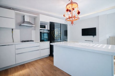 7+1 Villa  i Istanbul, Tyrkia Nr. 225848 - 13