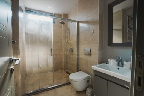 7+1 Villa  i Istanbul, Tyrkia Nr. 225848 - 3
