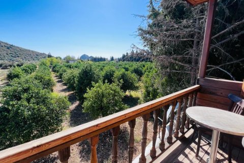 Hotell i Datca, Mugla, Turkiet Nr. 213061 - 22