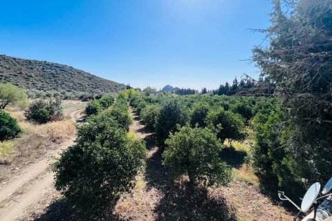Hotell i Datca, Mugla, Turkiet Nr. 213061 - 8