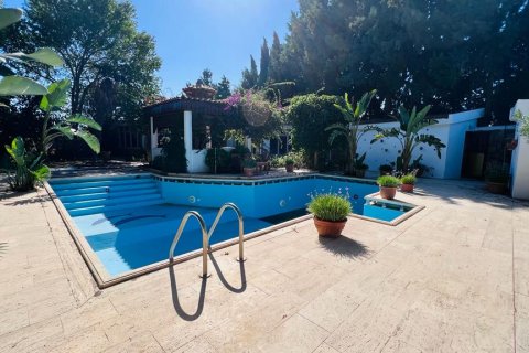 Hotell i Datca, Mugla, Turkiet Nr. 213061 - 17