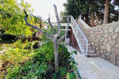 Hotell i Datca, Mugla, Turkiet Nr. 213061 - 21