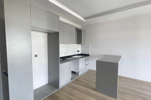 1+1 Wohnung  in Alanya, Antalya, Türkei Nr. 237753 - 5