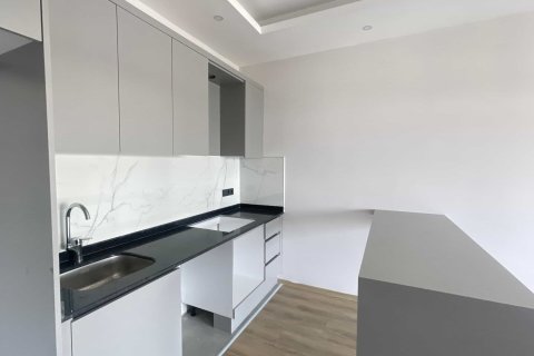 1+1 Wohnung  in Alanya, Antalya, Türkei Nr. 237753 - 3