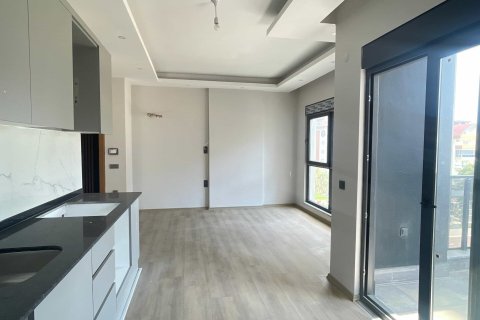 1+1 Wohnung  in Alanya, Antalya, Türkei Nr. 237754 - 6