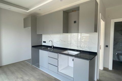 1+1 Wohnung  in Alanya, Antalya, Türkei Nr. 237754 - 4