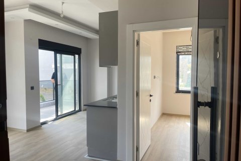 1+1 Wohnung  in Alanya, Antalya, Türkei Nr. 237754 - 5