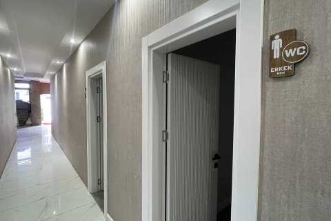 1+1 Wohnung  in Alanya, Antalya, Türkei Nr. 237754 - 17