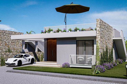 2+1 Villa i Yeni Erenkoy, Guzelyurt, Nr. 214627 - 3