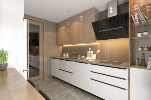 1+1 Lägenhet  i Istanbul, istanbul, Turkiet Nr. 237726 - 10