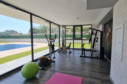 Wohnung in Gazipasa, Antalya, Türkei Nr. 228058 - 18
