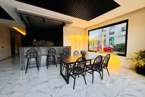 1+1 Lägenhet i Alanya, Antalya, Turkiet Nr. 216687 - 9