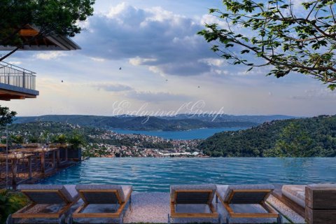 1+1 Apartment in Istanbul, Turkey No. 224420