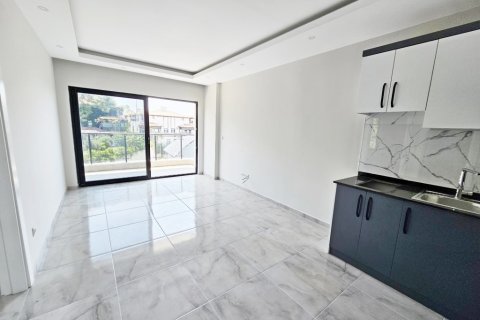 1+1 Apartment  in Alanya, Antalya, Turkey No. 216463