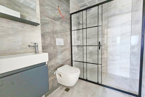 آپارتمان در Alanya ، ترکیه 1 خوابه ، 50 متر مربع. شماره 216466 - 11