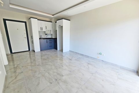 آپارتمان در Alanya ، ترکیه 1 خوابه ، 50 متر مربع. شماره 216466 - 8