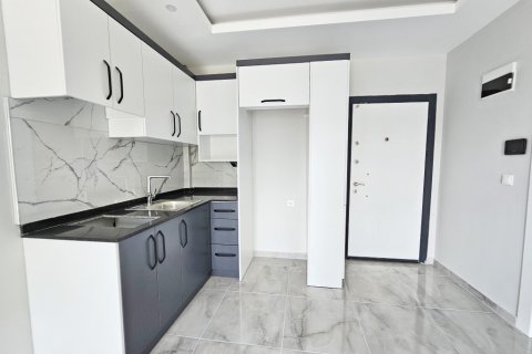 1+1 Wohnung  in Alanya, Antalya, Türkei Nr. 216461 - 2