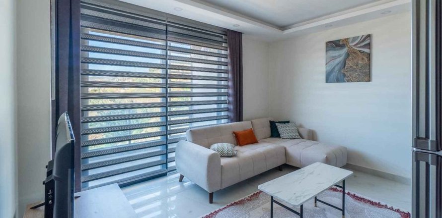 1+1 Wohnung  in Alanya, Antalya, Türkei Nr. 216264