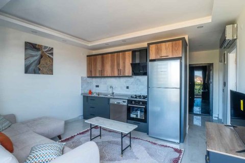 1+1 Wohnung  in Alanya, Antalya, Türkei Nr. 216264 - 12