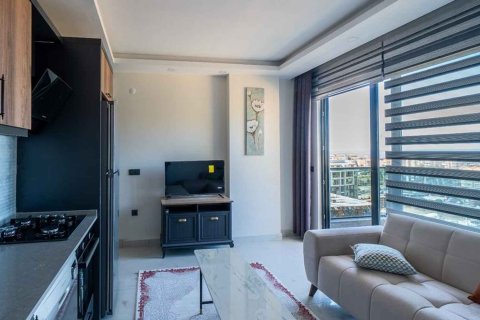 1+1 Wohnung  in Alanya, Antalya, Türkei Nr. 216264 - 14