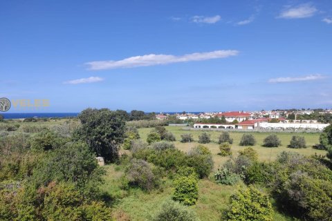 2+1 Wohnung in Lapta, Girne, Nr. 214176 - 12
