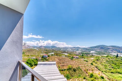 2+1 Leilighet  i Alanya, Antalya, Tyrkia Nr. 223745 - 20