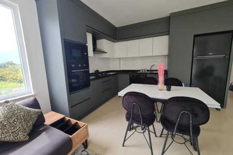 Wohnung  in Demirtas, Alanya, Antalya, Türkei Nr. 226830 - 2