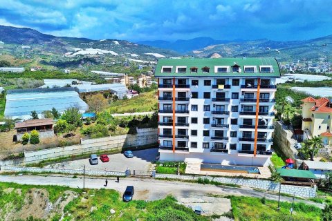 1+0 Wohnung  in Demirtas, Alanya, Antalya, Türkei Nr. 227805