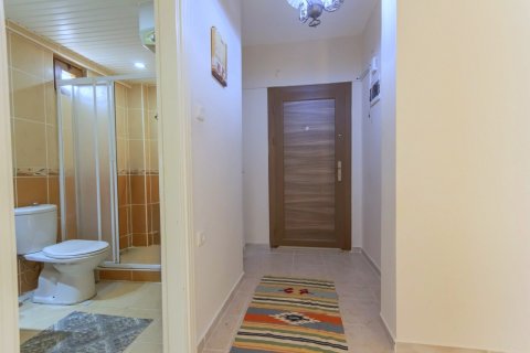 1+0 Wohnung in Mahmutlar, Antalya, Türkei Nr. 227800 - 12