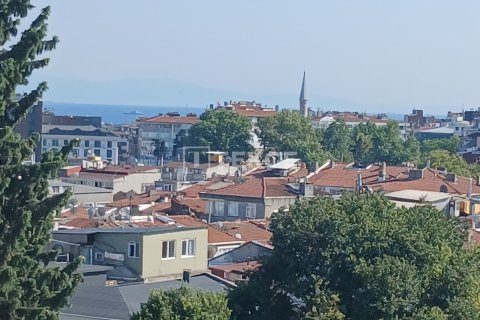 ویلا در Istanbul ، ترکیه 8 خوابه ، 585 متر مربع. شماره 232139 - 2