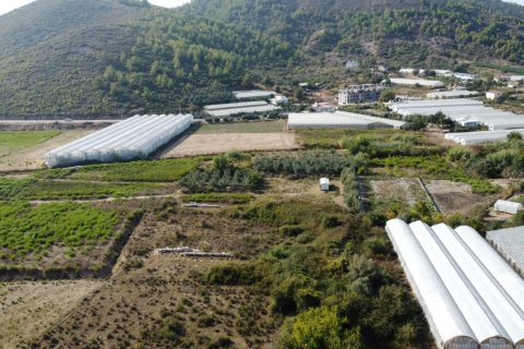 2+1 Lägenhet i Gazipasa, Antalya, Turkiet Nr. 87039 - 15
