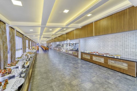 1+1 Wohnung in Konakli, Antalya, Türkei Nr. 99446 - 30