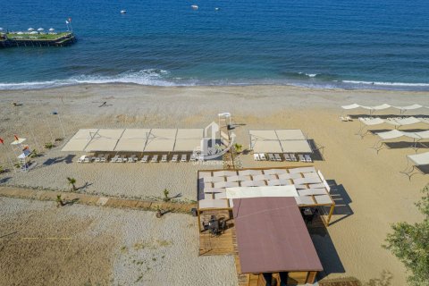 1+1 Wohnung in Konakli, Antalya, Türkei Nr. 99446 - 21