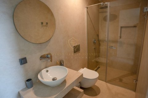 4+1 Villa in Bodrum, Mugla, Turkey No. 215212
