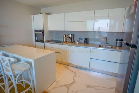 4+1 Villa  i Bodrum, Mugla, Turkiet Nr. 215212 - 16